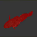 Brown Spotted Aquatic Fish With Unique Fins And Orange Eyes On Dark Surface