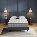Double Bed With Gray Headboard Dark Blue Walls Pendant Lights Nightstands Flowers Rug Wooden Floor