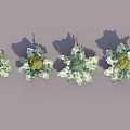 Fresh Broccoli Vegetables in Different Sizes with Green Florets and Leaves on Gray Background