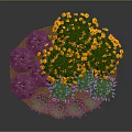 Colorful Circular Flower Bed Planted With Mixed Yellow Purple Pink Flowers