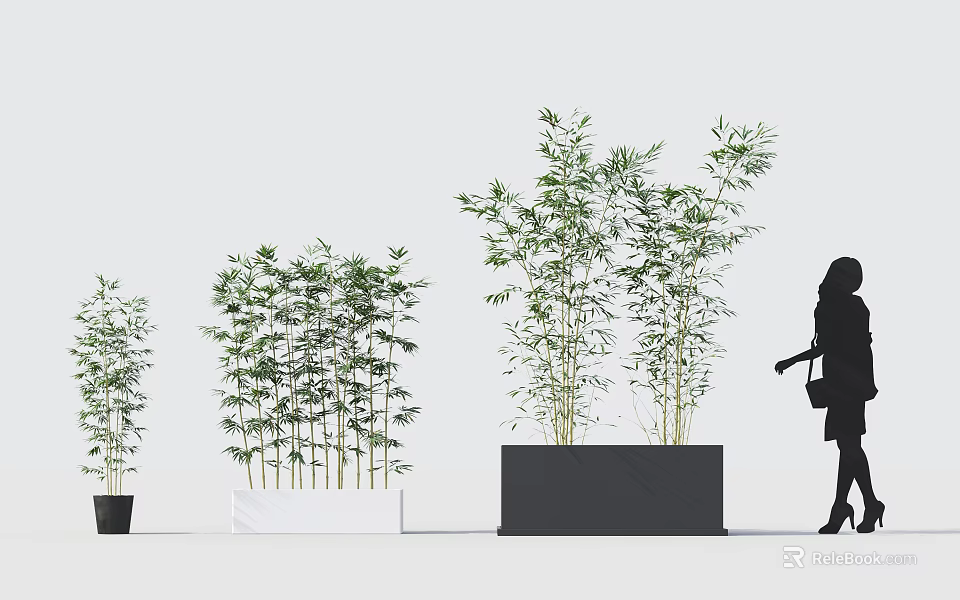 Various Sizes Bamboo Plants In Black White Planters With Pedestrian Silhouette 3d model 
