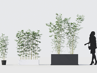 Modern bamboo 3d model