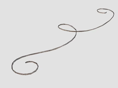 Ornamental Decorative Metal Wire With Curved Spiral Shape On Grey Background 3d model