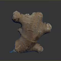 Fresh Organic Ginger Root With Natural Texture On Dark Background