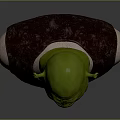 Shrek Fantasy Creature Detailed Bust Sculpture With Green Skin Large Ears And Brown Vest