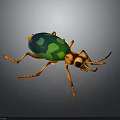 Colorful Beetle with Green Blue Shiny Back Orange Legs and Head Long Antennae 3D Render