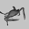 Fresh Raw Blue Swimming Crab With Long Claws And Spotted Legs
