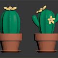 Two Green Cacti in Orange Pots with Yellow Flowers as Decorative Plants