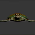 Realistic Colorful Sea Turtle With Vibrant Orange Green Shell And Spotted Flippers