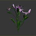 Pink Flowers with Green Stems Leaves and Buds on Gray Background