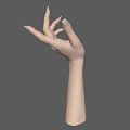 Realistic Human Hand and Arm with White Nails on Gray Background 3d model