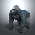 Detailed Realistic Gorilla 3D Model in Standing Pose on Gray Background 3d model