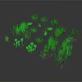 Colorful Decorative Plants For Home Decoration Including Green Grass And Purple Flowers