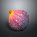 Fresh Purple Pink Fig with Water Droplets on Surface Against Gray Background