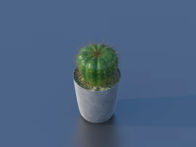 Bonsai Potted Cactus Plant in Gray Concrete Pot for Modern Indoor Home Decor 3d model