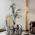 Cozy Rattan Leisure Chair With Palm Plant Floor Lamp And Leather Sofa By White Curtains
