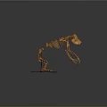 Detailed Bear Skeleton Anatomical Structure with Articulated Bones Display on Black Base 3d model