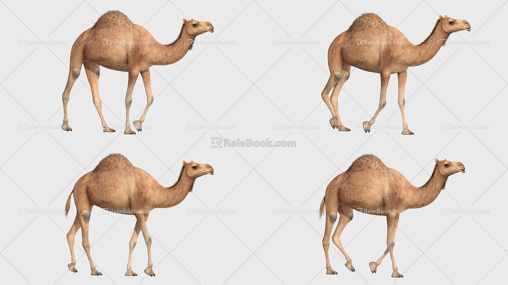 The Modern Camel 3d model