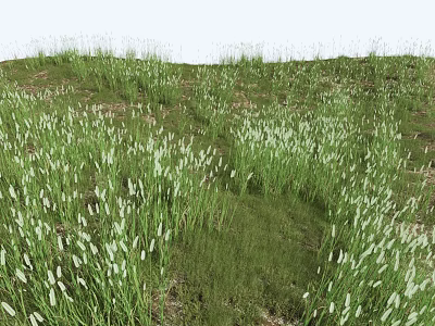 Lush Green Meadow With Tall Grass And White Fluffy Flowers 3d model