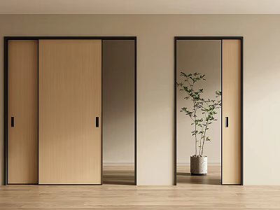 Wooden Sliding Doors With Mirrored Panels And Indoor Plant In Modern Interior 3d model