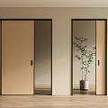 Wooden Sliding Doors With Mirrored Panels And Indoor Plant In Modern Interior