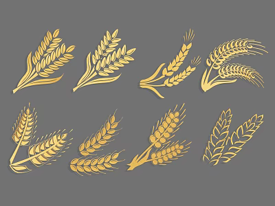 Golden Wheat Ears Various Designs And Shapes As Agricultural Crop Illustrations 3d model