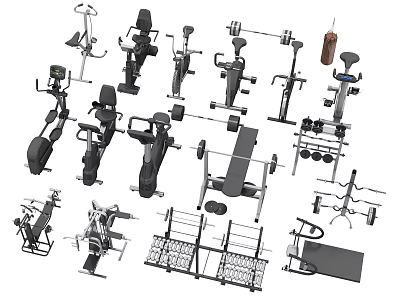 Variety Of Home Gym Sports Equipment Including Treadmill Dumbbells Barbells And Machines 3d model