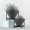 Bonsai and Potted Plants in Black White Ceramic Pots on Wooden Stands Indoor Decor