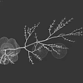 Dark Glossy Unique Shaped Vase With Decorative Dry Branches For Home Decor
