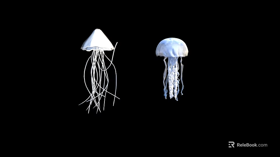 Two White And Blue Jellyfish With Long Tentacles Floating Against Black Background 3d model 