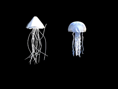 Two White And Blue Jellyfish With Long Tentacles Floating Against Black Background 3d model