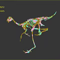 Realistic White Dinosaur Skeleton Structure On Gray Background With Reflection 3d model