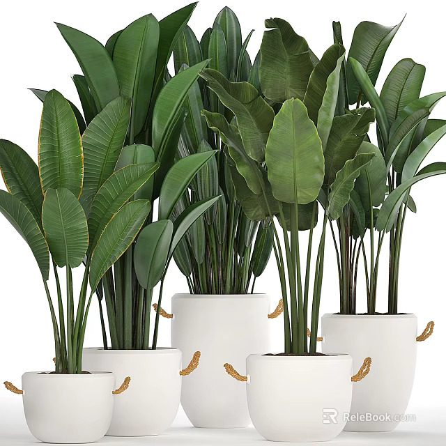 Decorative Ornament Set with Large Green Leaves in White Planters and Golden Accents 3d model 