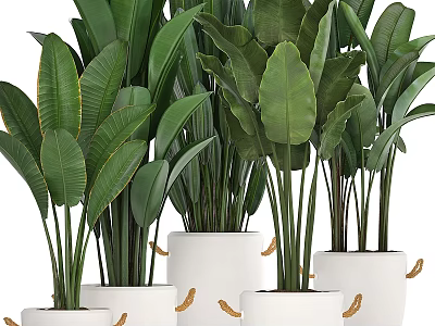 Decorative Ornament Set with Large Green Leaves in White Planters and Golden Accents 3d model