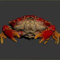 Vibrant Red Crab With Detailed Claws And Shiny Shell Isolated On Black Surface