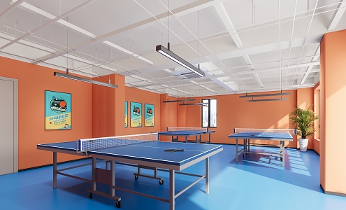 Modern table tennis room 3d model