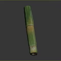 Green And Yellow Bamboo Stem With Smooth Texture Isolated On Dark Background