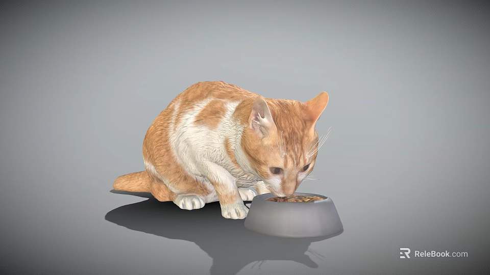 Cute Orange And White Domestic Cat Eating From Food Bowl 3d model 