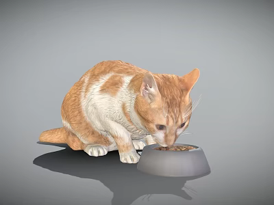 Cute Orange And White Domestic Cat Eating From Food Bowl 3d model