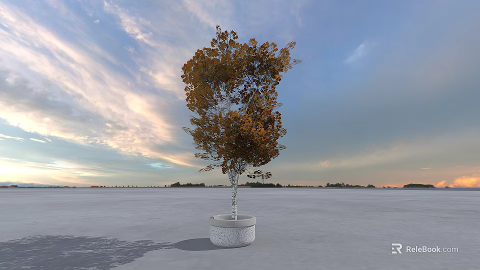 Arbor With Yellow Green Leaves In White Pot On Open Field Under Cloudy Sunset Sky 3d model 
