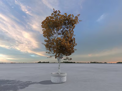 Arbor With Yellow Green Leaves In White Pot On Open Field Under Cloudy Sunset Sky 3d model