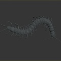 Centipede millipede spider ladybug cartoon centipede animation centipede animation centipede animation character 3d model