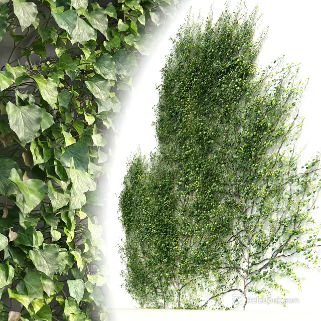 Lush Green Leafy Vines Covering Wall With Fresh Foliage And Twisted Stems 3d model 