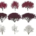 Flowering Little Trees Cascade Begonia Flowers Magnolia Red Jigu 3d model