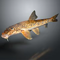 Vibrant Realistic Fish Shaped Decorative Figurine For Modern Home Living Space