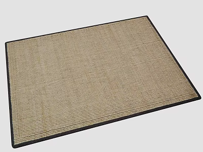 Natural Beige Square Rug With Woven Texture And Dark Border 3d model