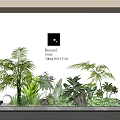Lush Courtyard Garden Design With Tropical Plants Green Foliage Stones And Ambient Lights
