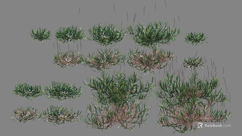 Various Shrub Types with Different Growth Forms for Garden and Landscape Use 3d model 