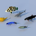 Various Aquatic Animals Featuring Striped Shark Yellow Spotted Blue And Green Fish