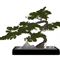 Artistic Bonsai Tree With Curved Branches And Lush Green Foliage In Pot With Stones